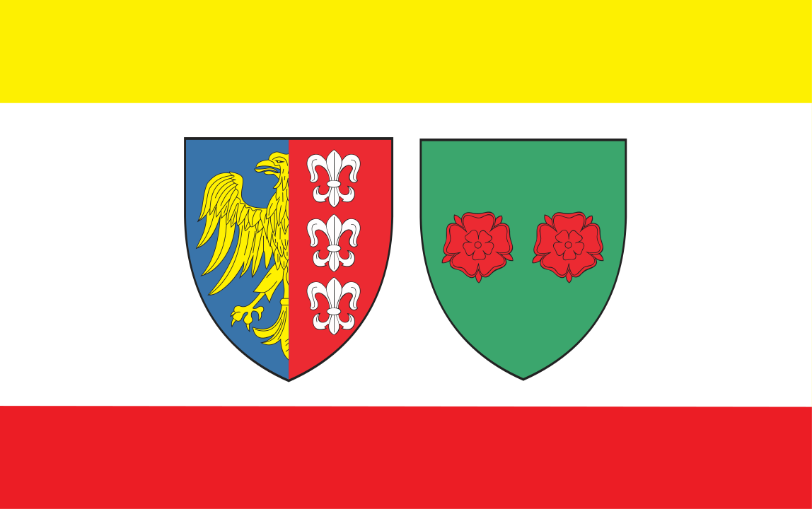 Flaga miasta Bielsko-Biała