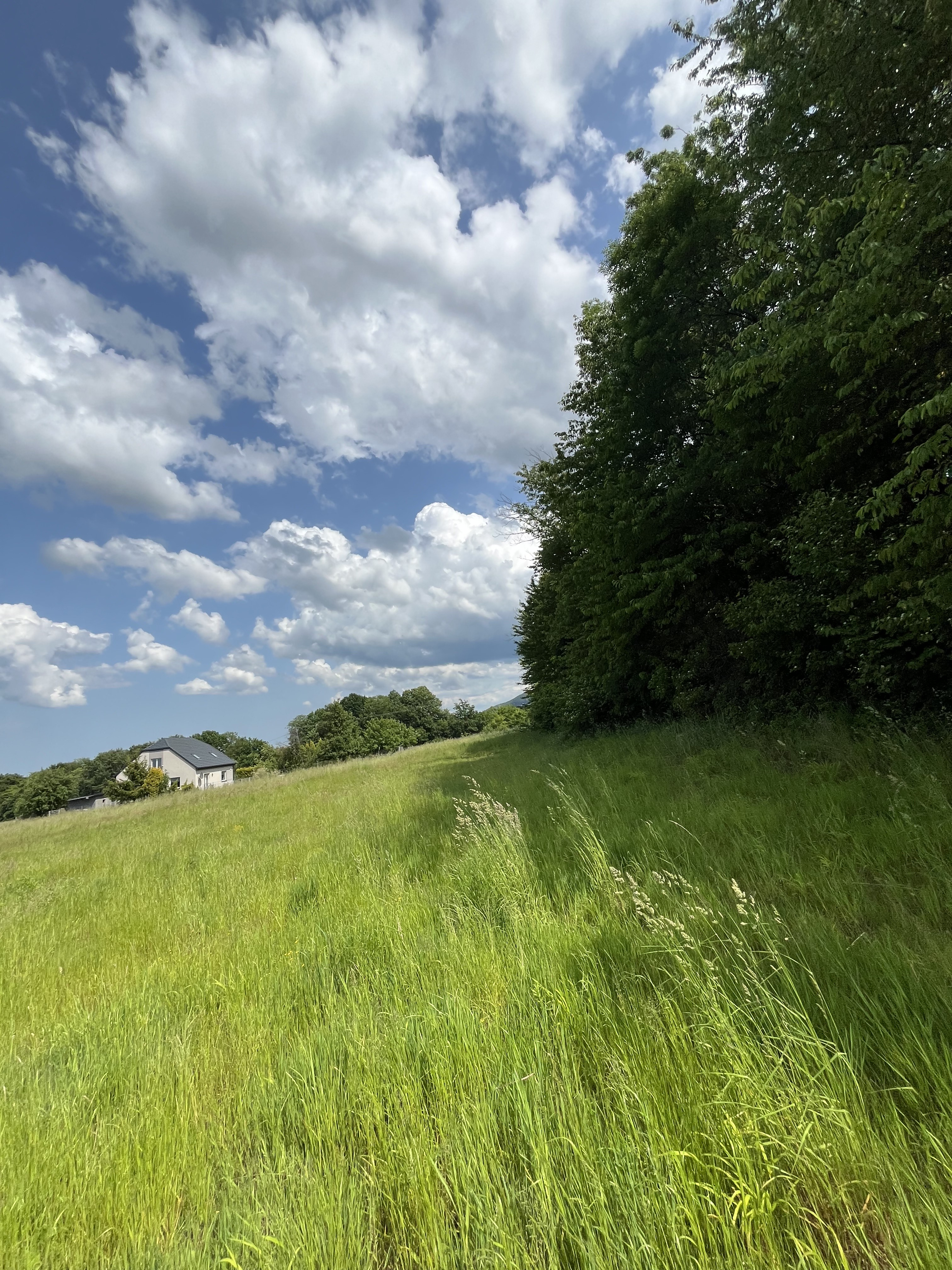 Zdjęcie nieruchomości