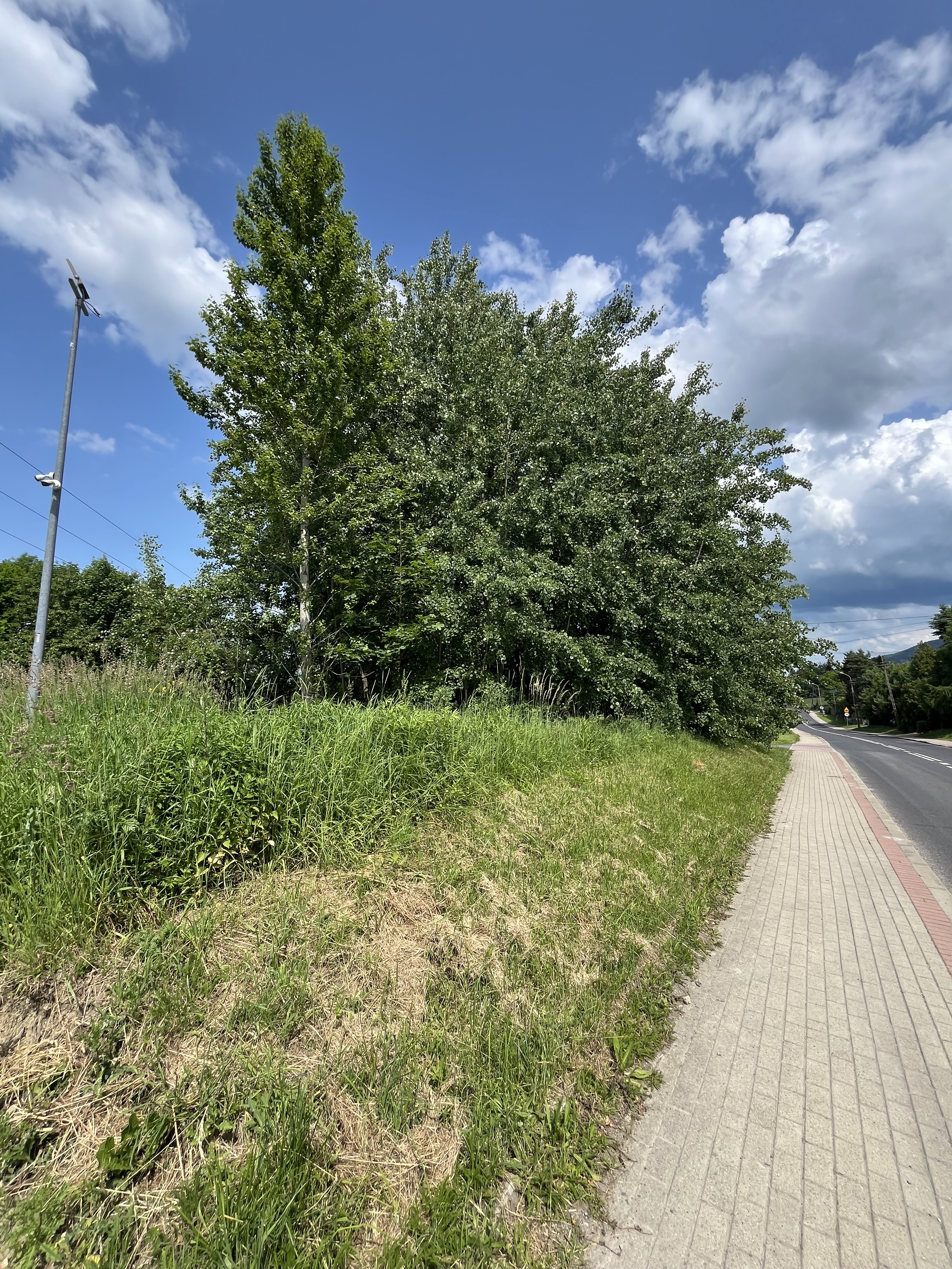 Zdjęcie nieruchomości