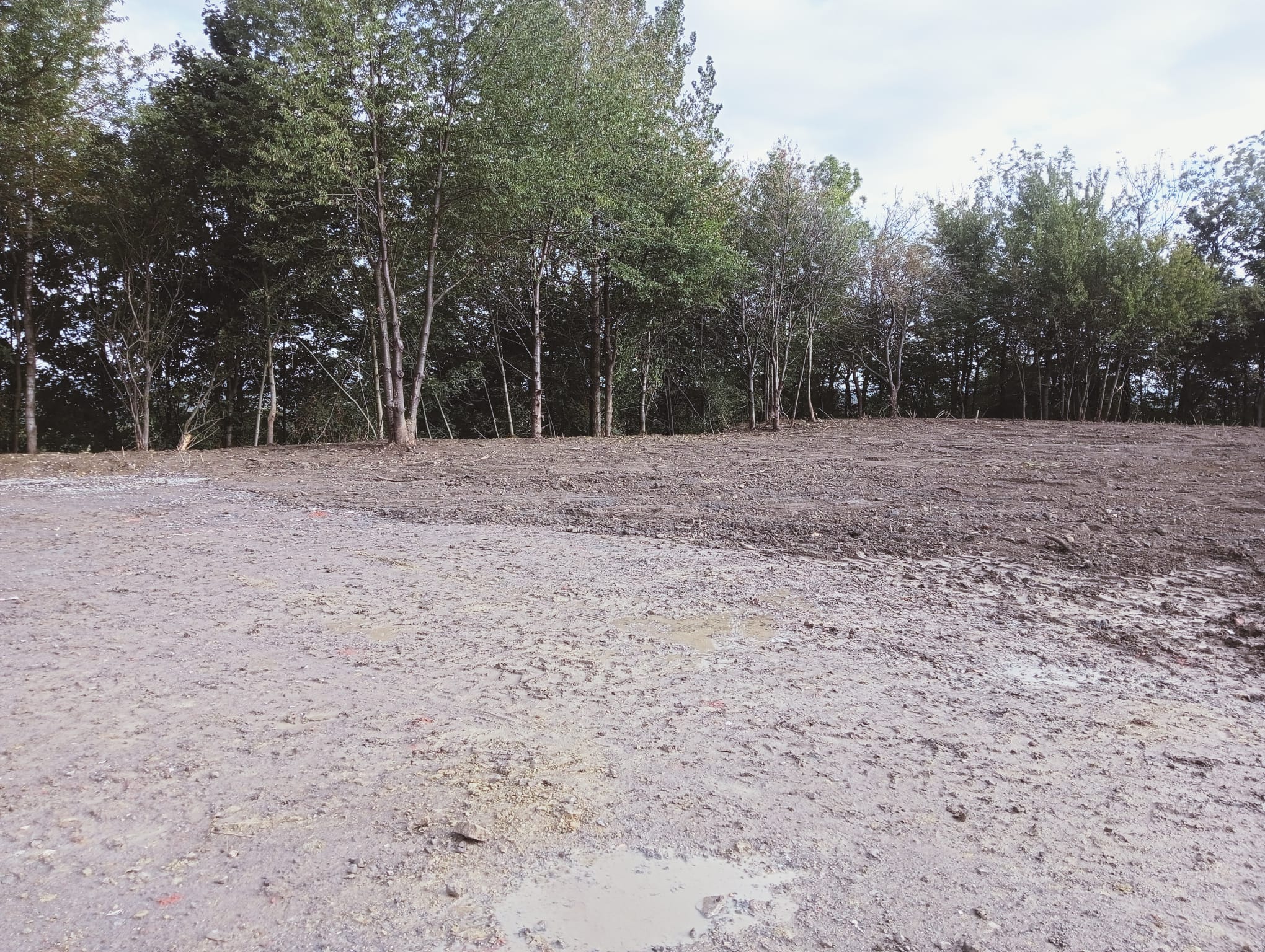 Zdjęcie nieruchomości