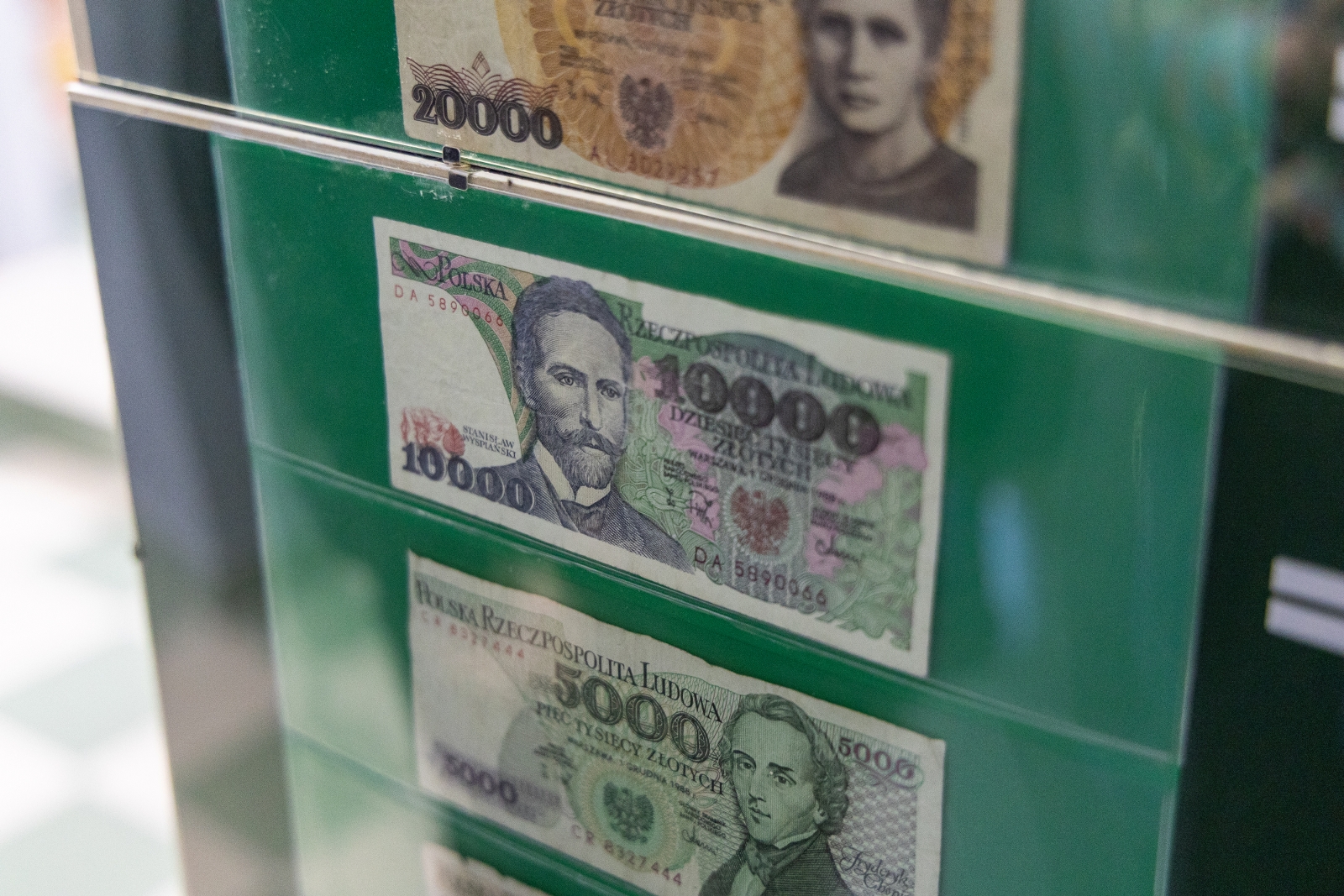 na zdjęciu eksponaty w muzeum