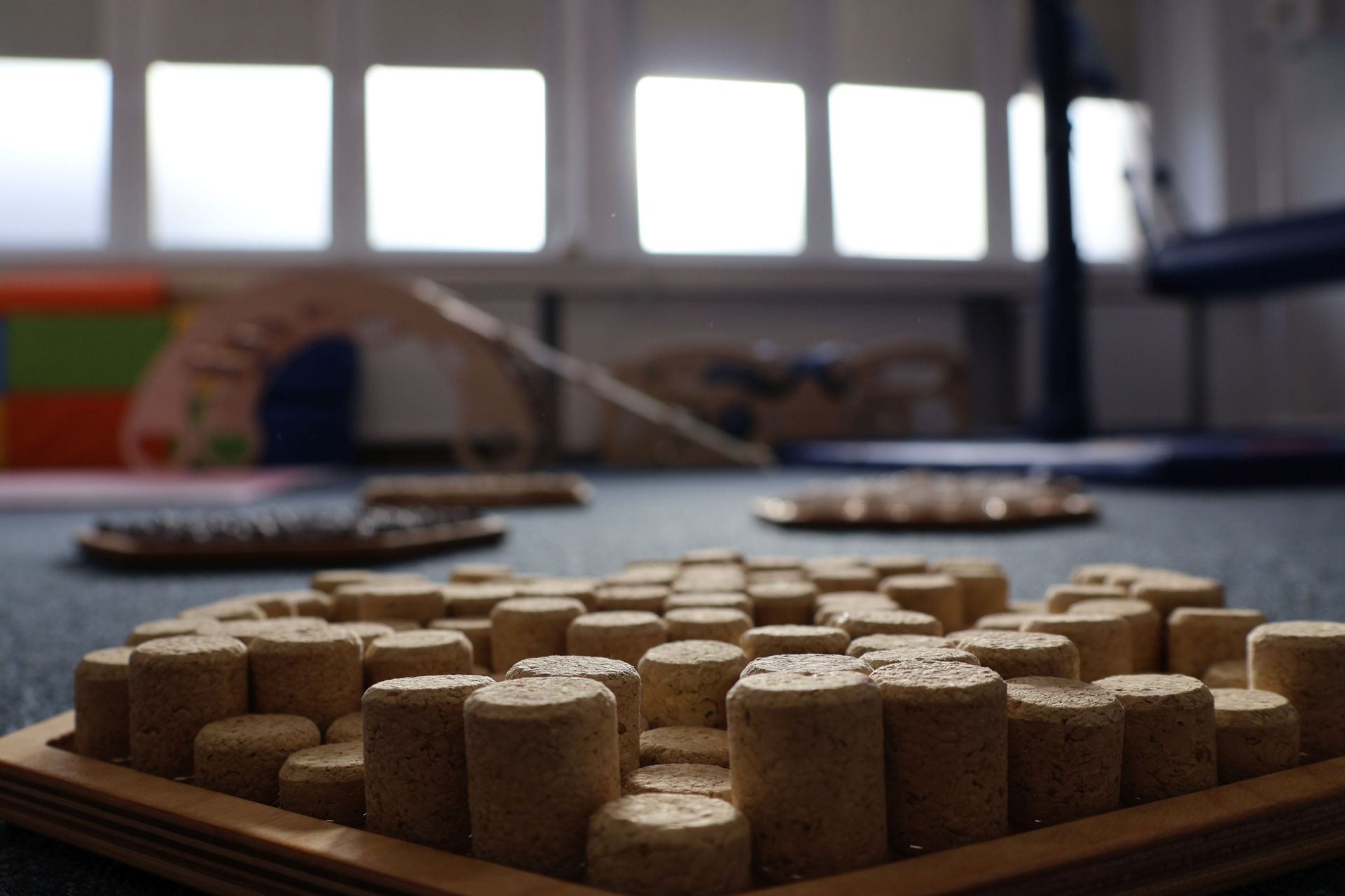 Regionalne Centrum Wspierania Pieczy Zastępczej otwarcie w BB