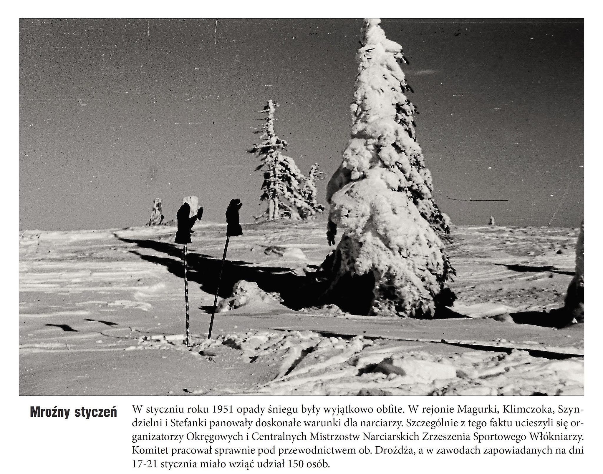 Był rok 1951 - wystawa 