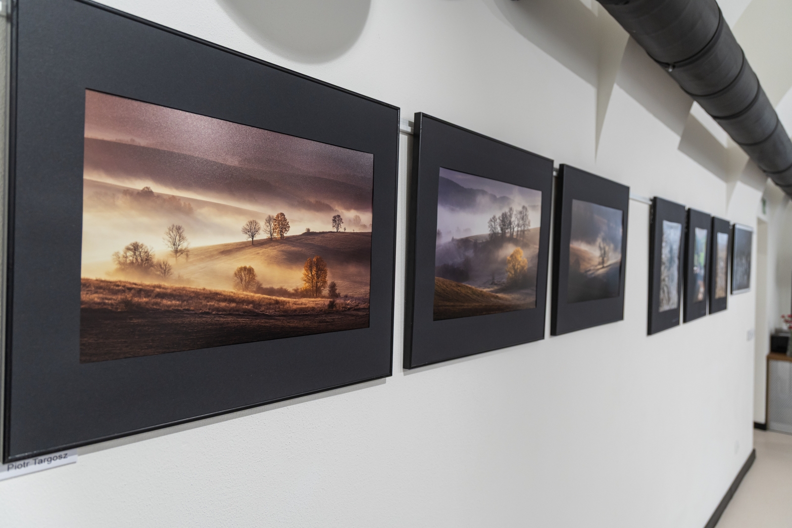 na zdjęciu wnętrze galerii z fotografiami na ścianach
