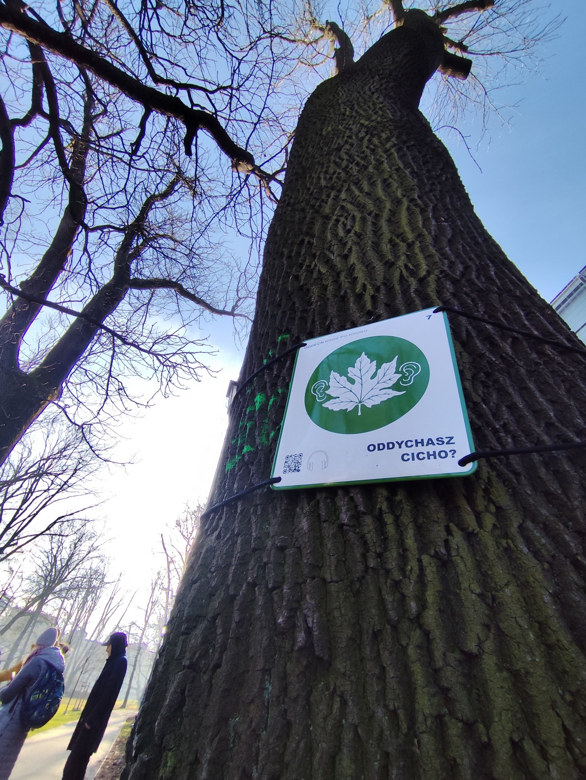 Sign marking the breathing trail (leaf symbol) attached to a tree.