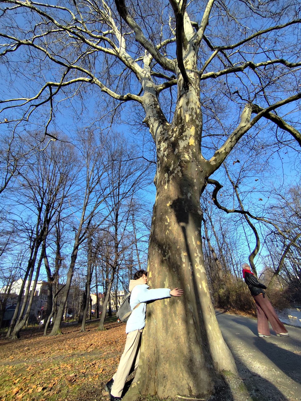 Person with closed eyes and a smile, facing the sun, embracing a large tree.