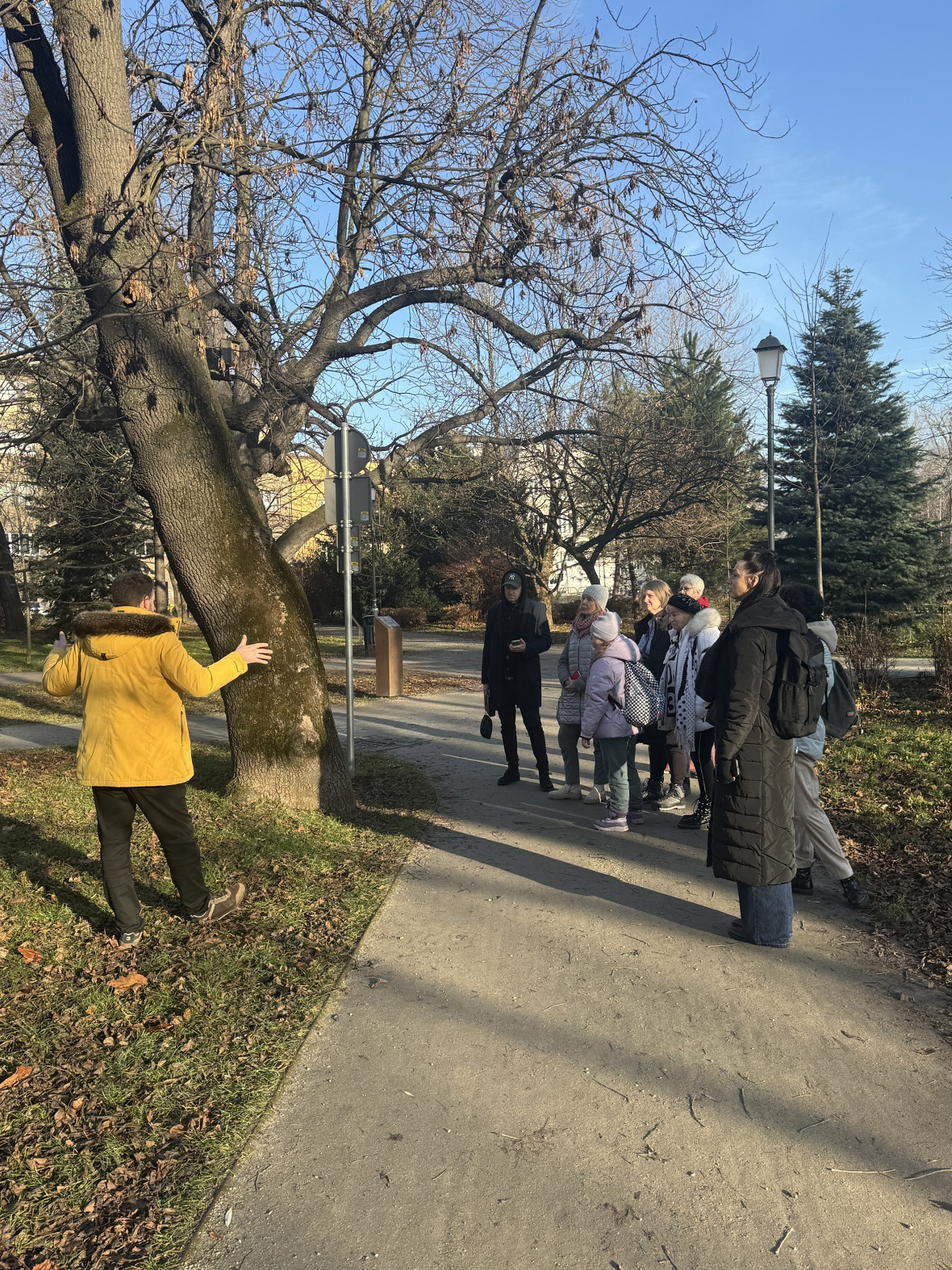 Participants standing beside a magnificent tree, listening to the explanations of the municipal gardener.