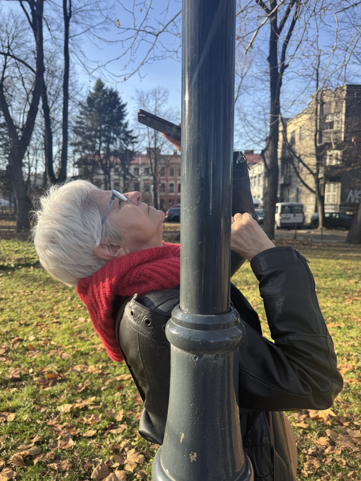 Person leaning against a post, taking a photograph of a tree canopy.