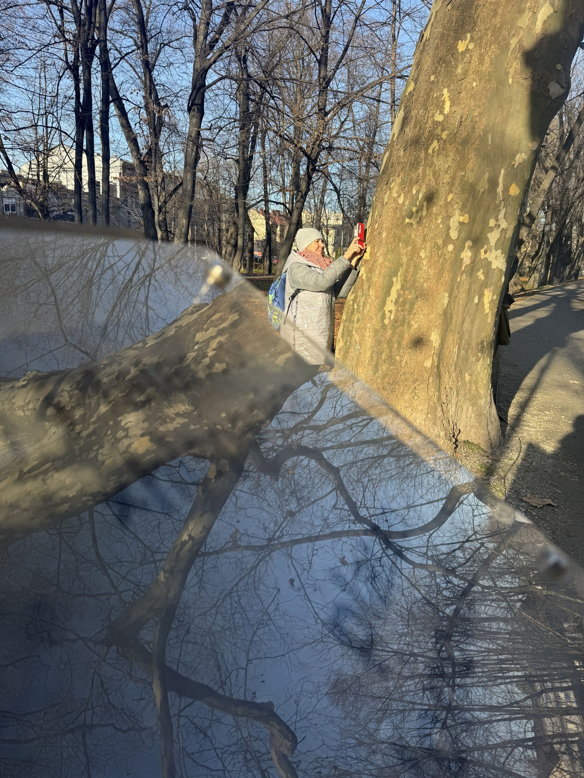 Person taking a close-up photograph of tree bark.