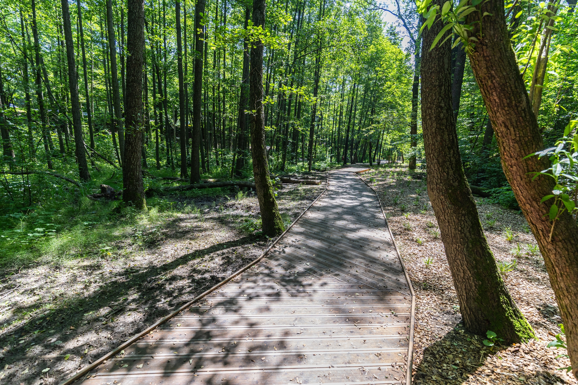 na zdjęciu park