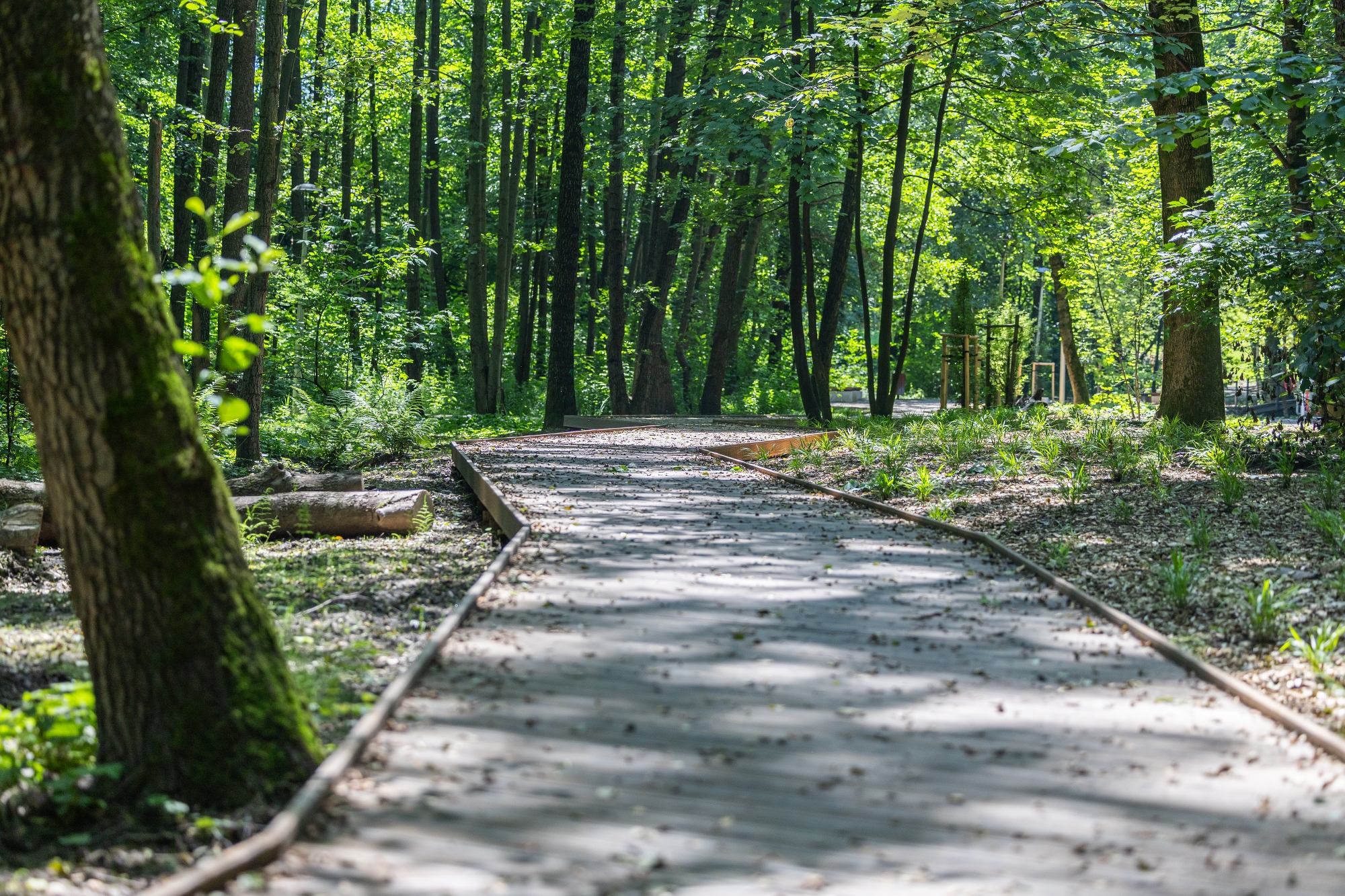 na zdjęciu park