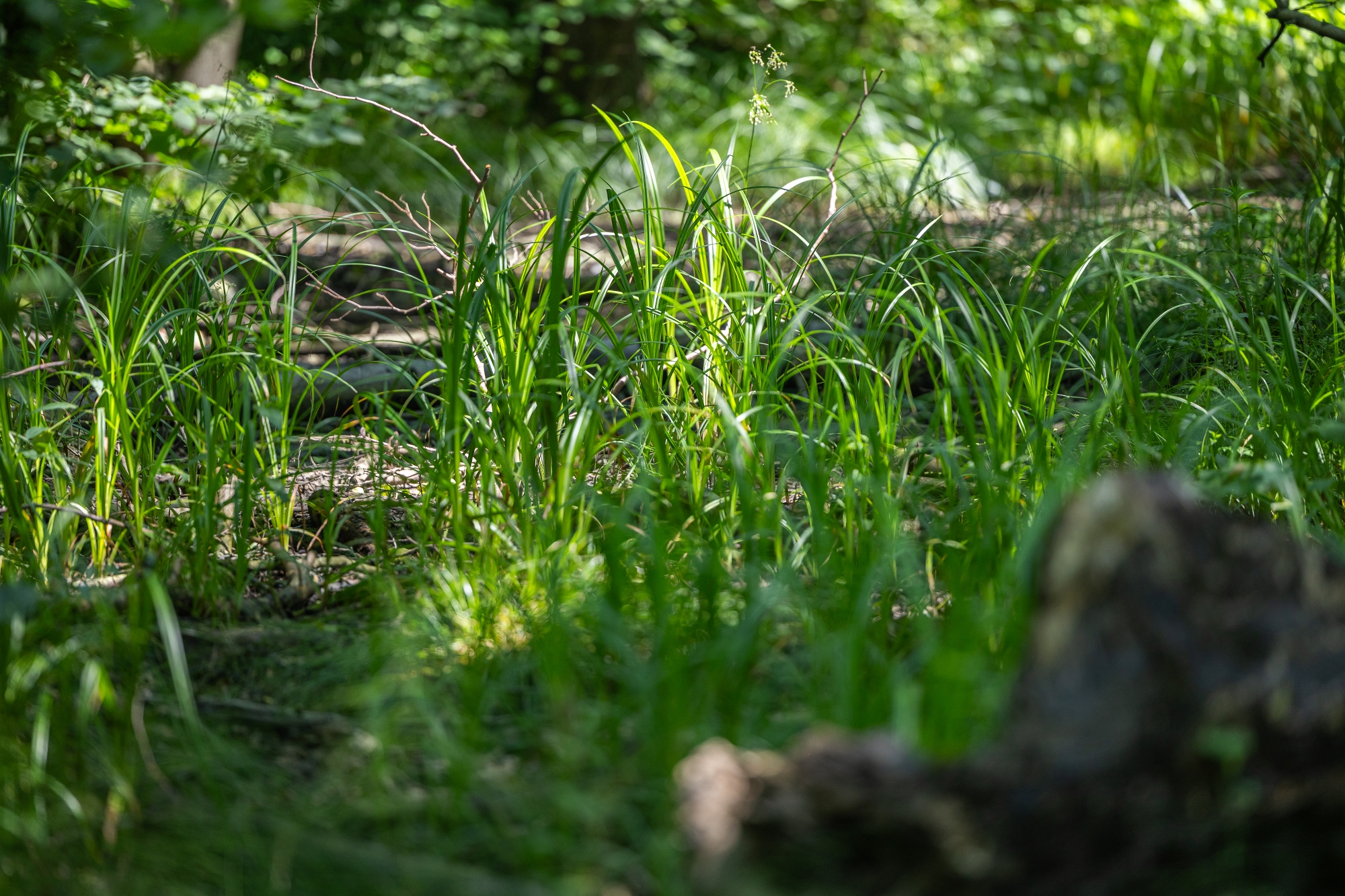 na zdjęciu park