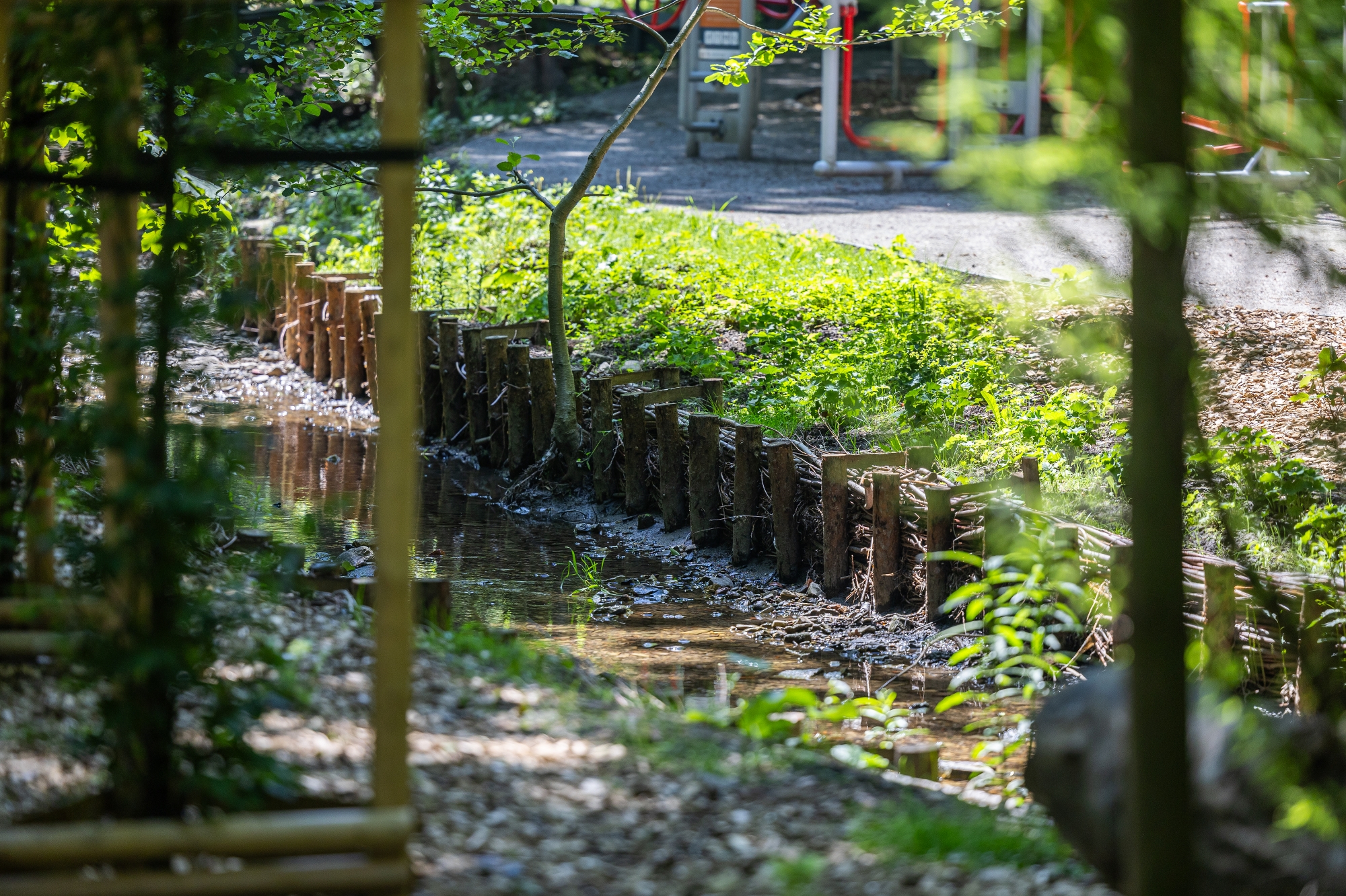 na zdjęciu park