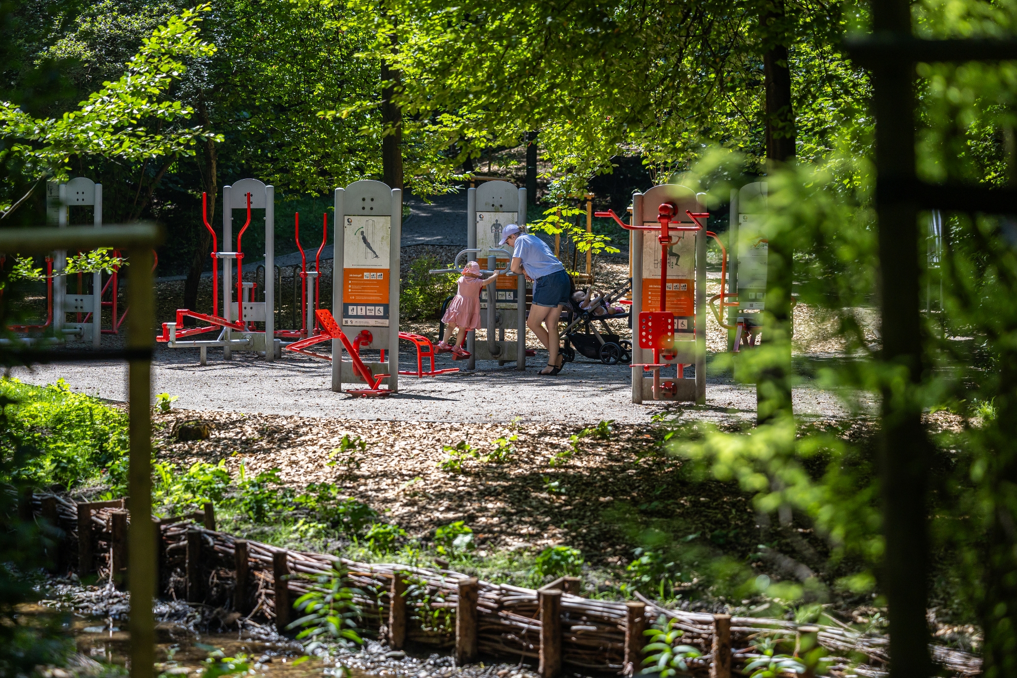 na zdjęciu park