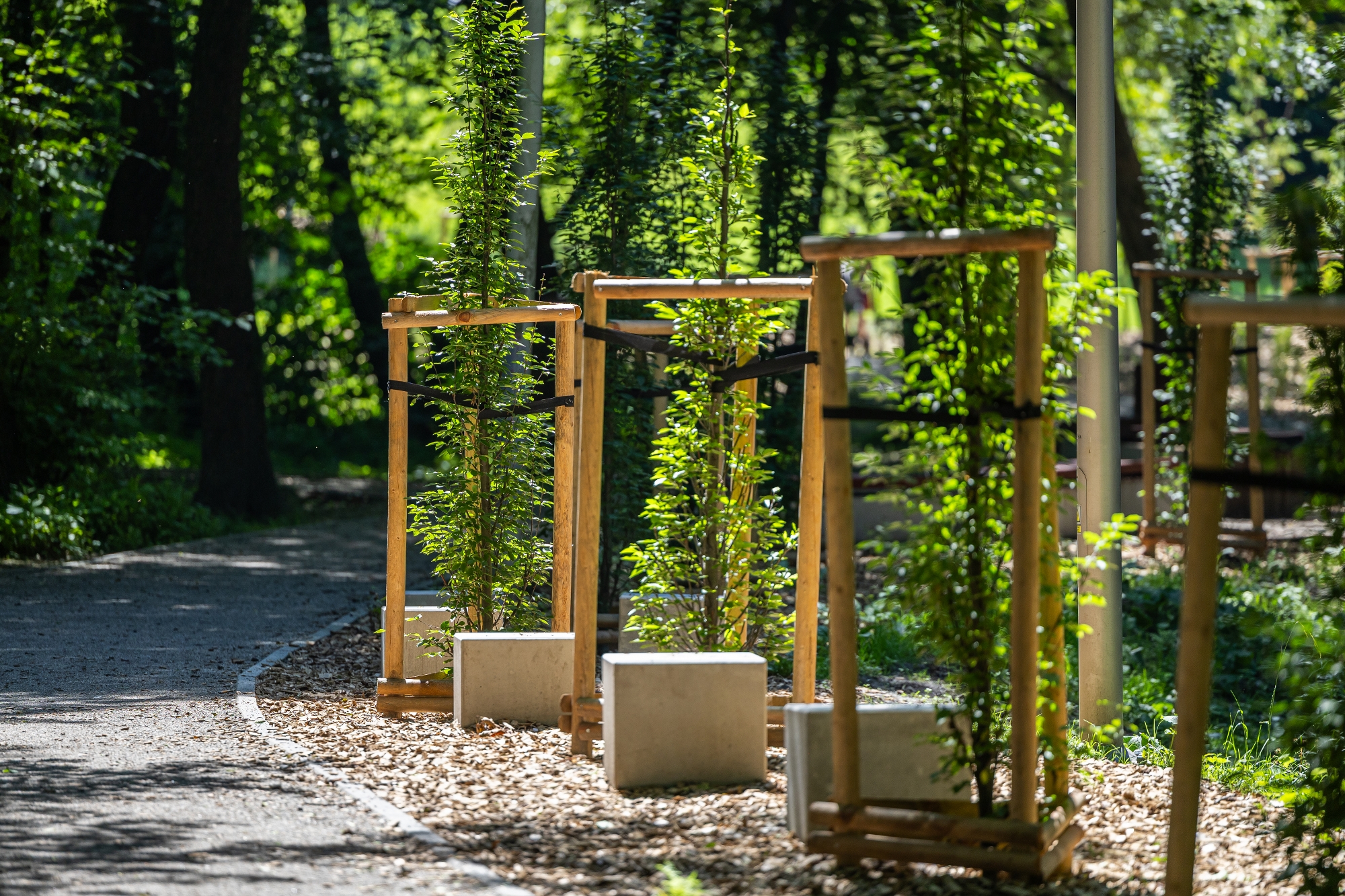 na zdjęciu park