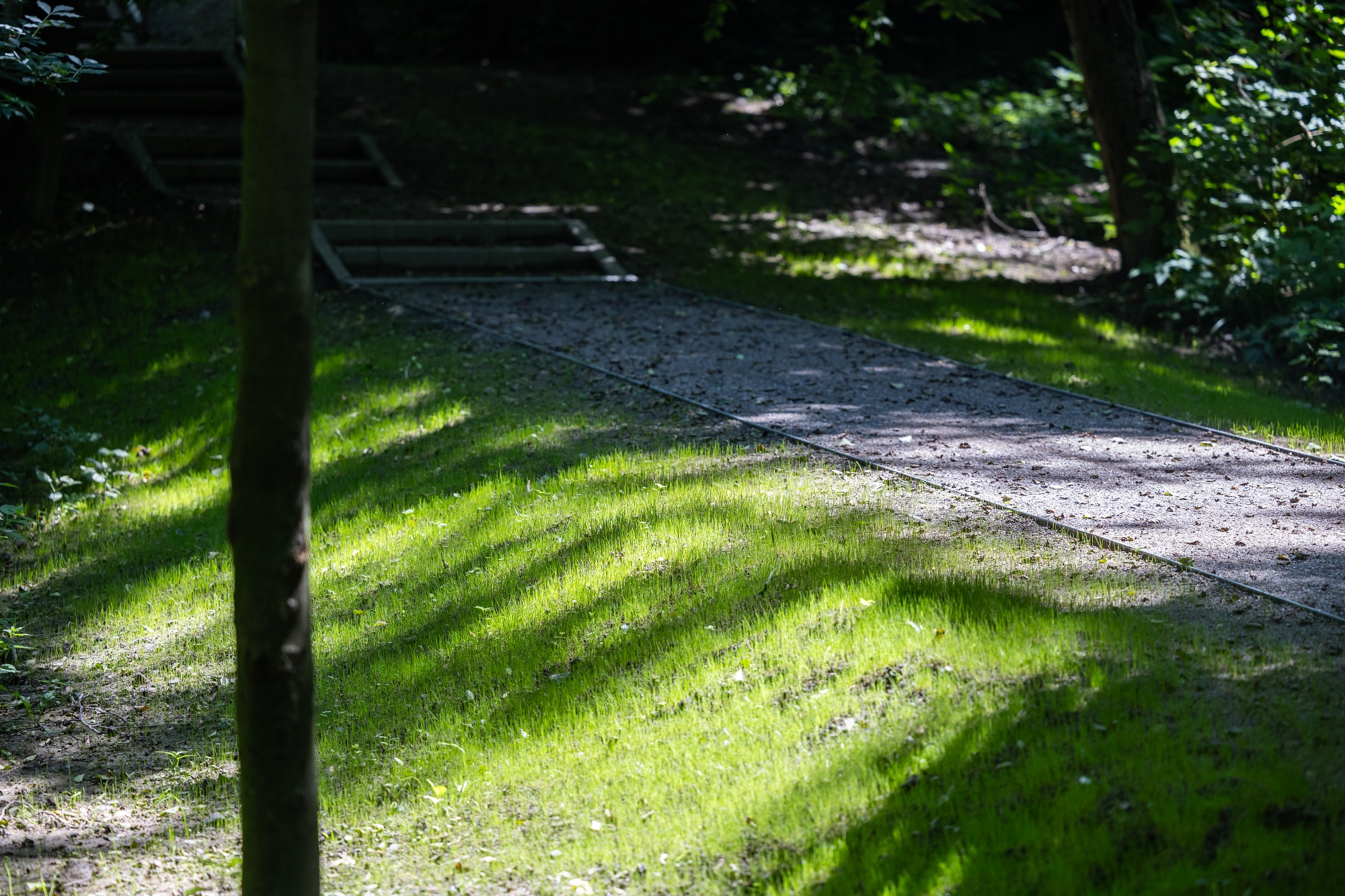 na zdjęciu park