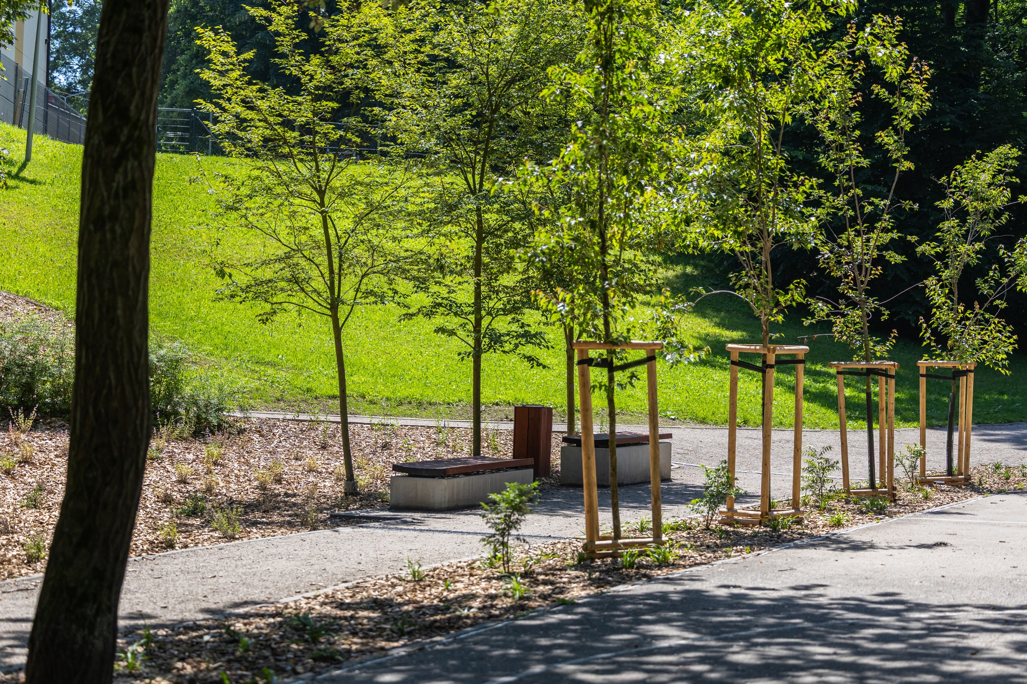 na zdjęciu park