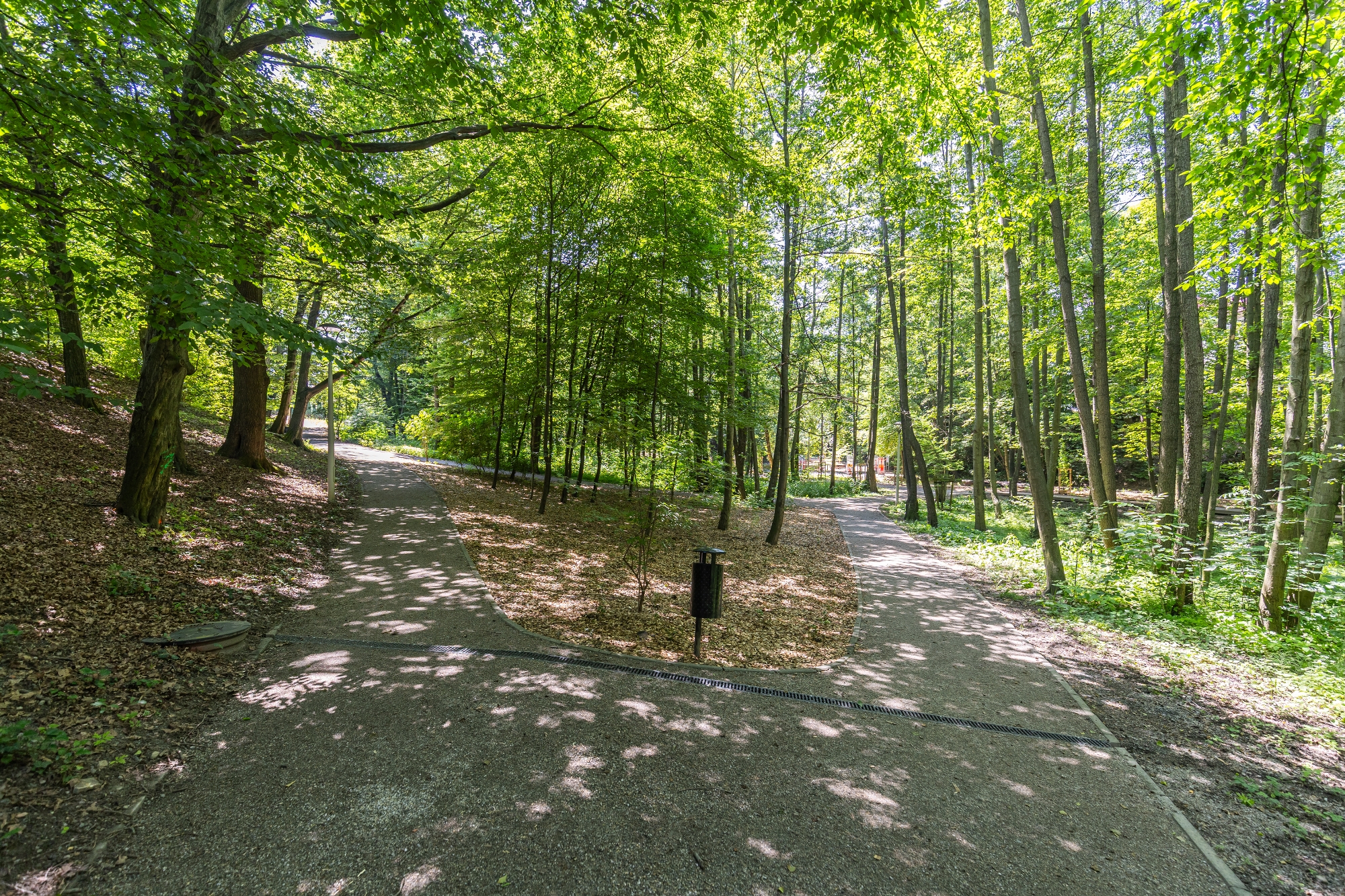 na zdjęciu park
