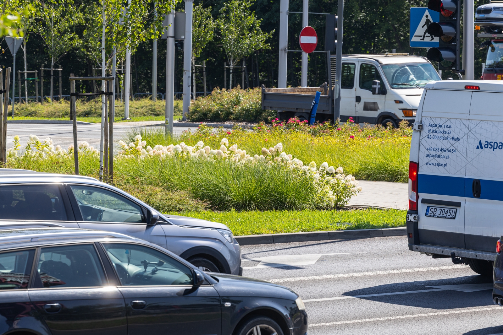 na zdjęciu ukwiecone ronda