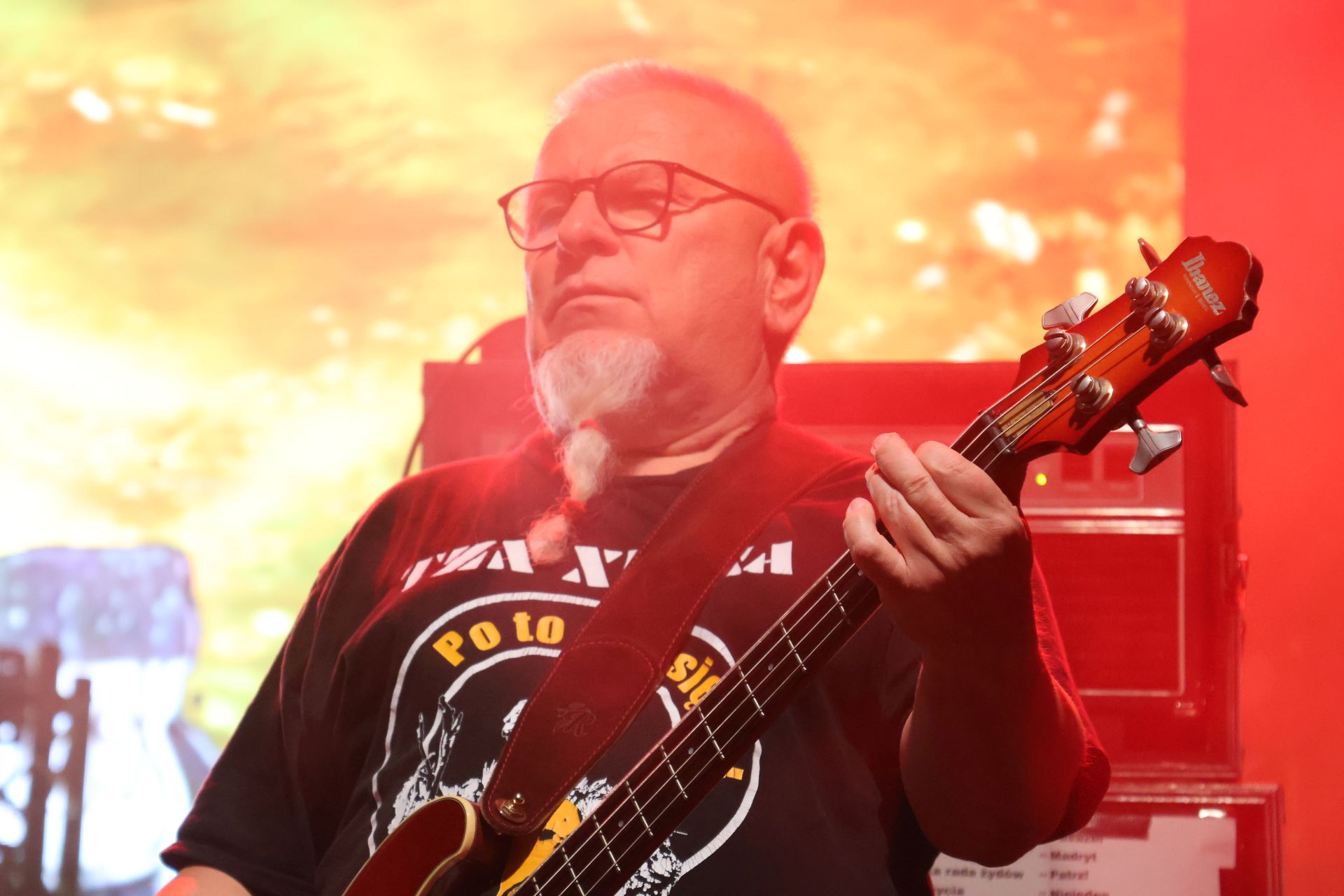 Na zdjęciu koncert zespołu KULT