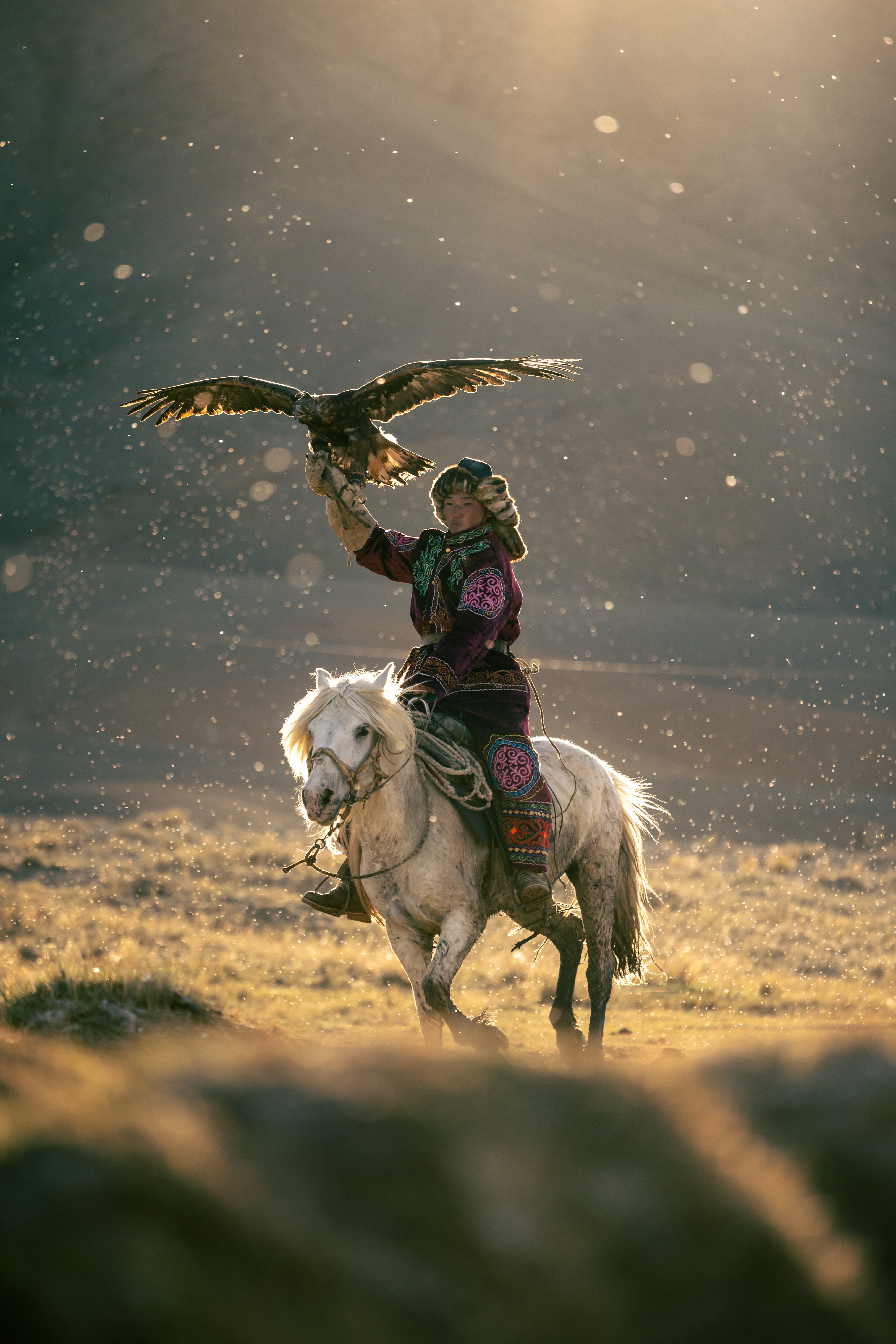 Kadr z filmu Into Altai - polska premiera