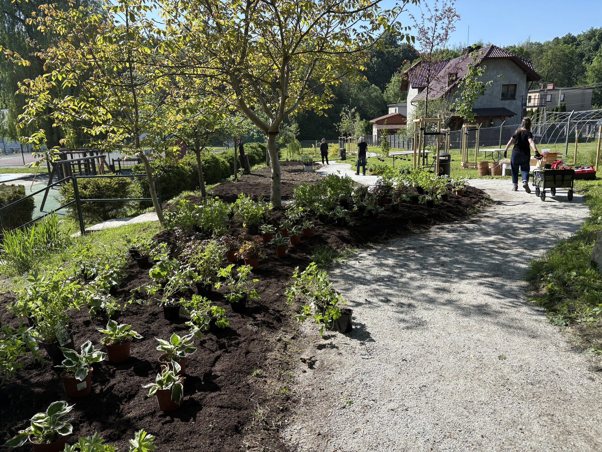 na zdjęciu park kieszonkowy