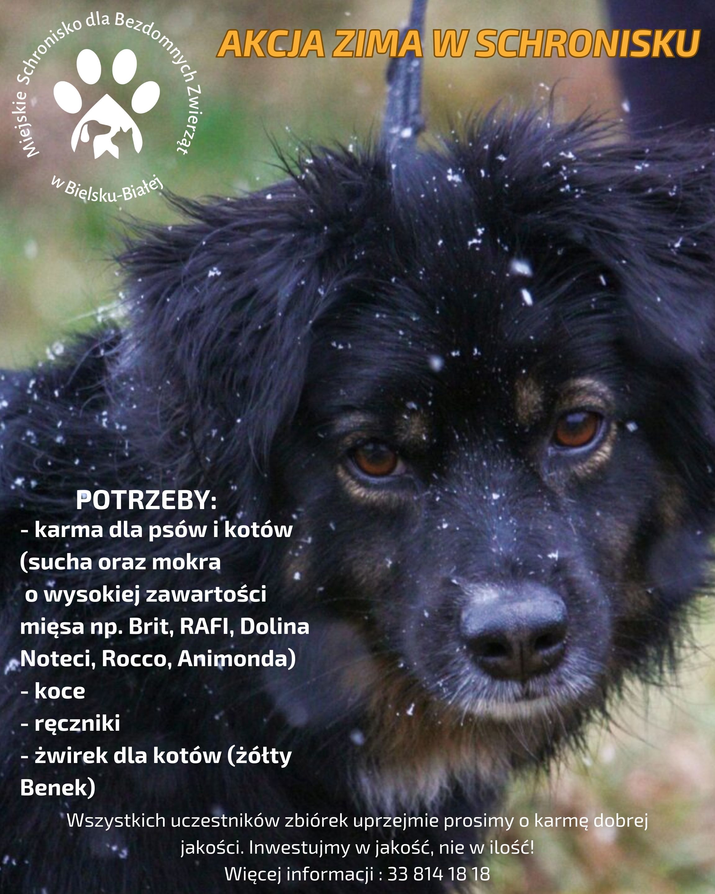 Plakat