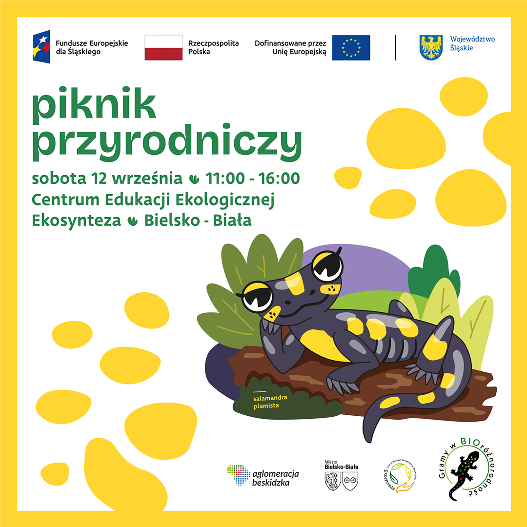 Na zdjęciu baner graficzny wydarzenia