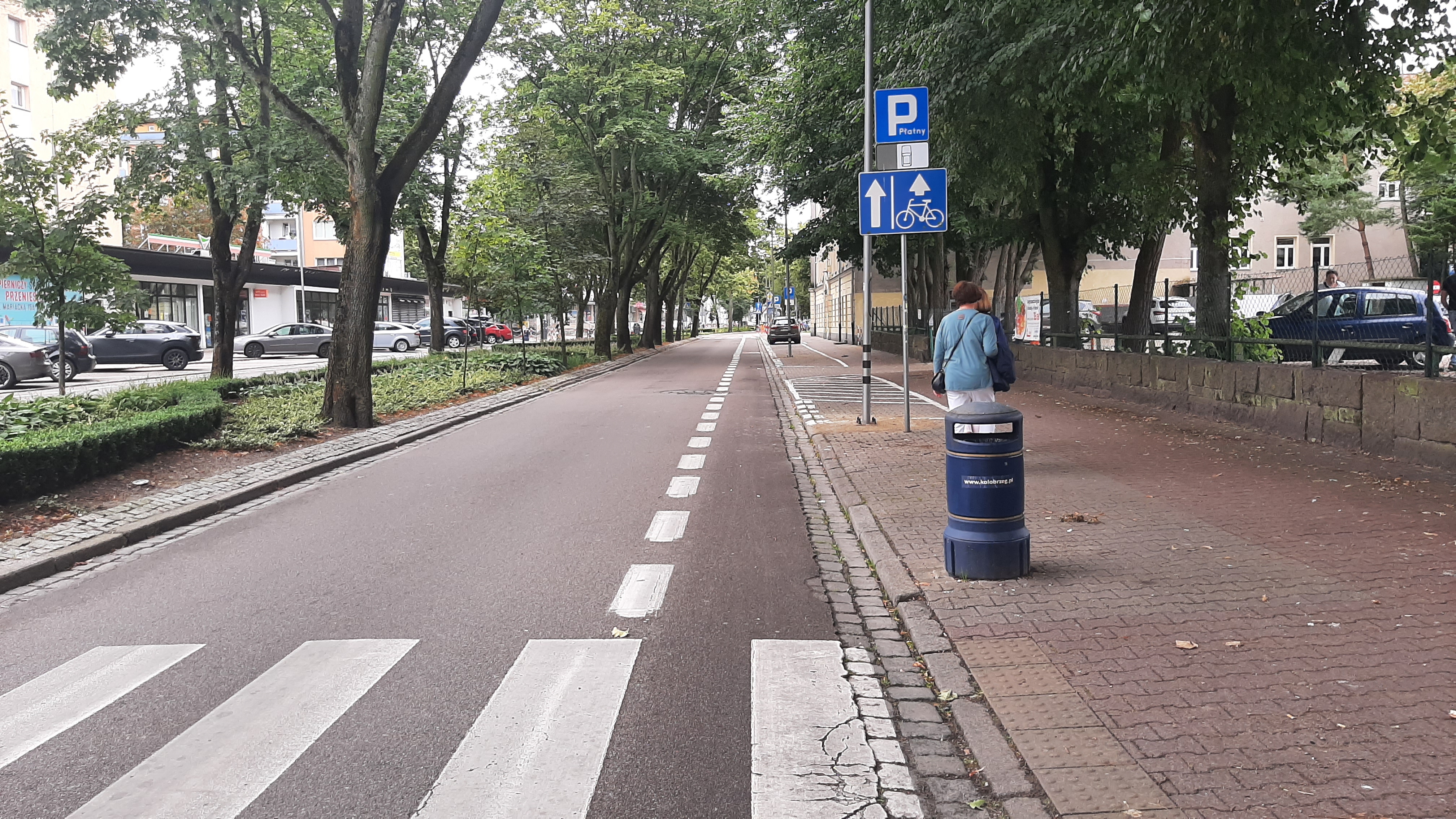 grafika przedstawiająca zdjęcie jezdni, chodnika z pieszym w otoczeniu zieleni, budynków i zaparkowanych pojazdów