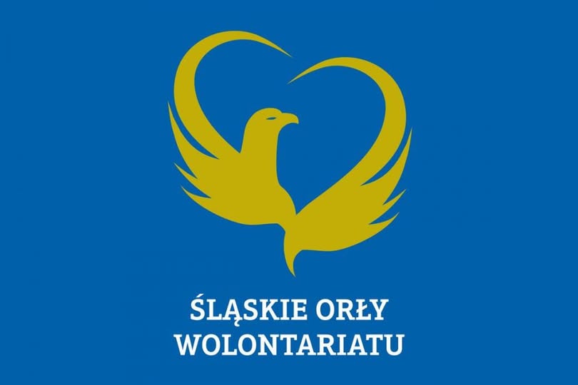 Grafika przedstawia plakat na niebieskim tle z napisem na dole ŚLĄSKIE ORŁY WOLONTARIATU NA ŚRODKU GRAFIKA ŻÓŁTEGO ORŁA
