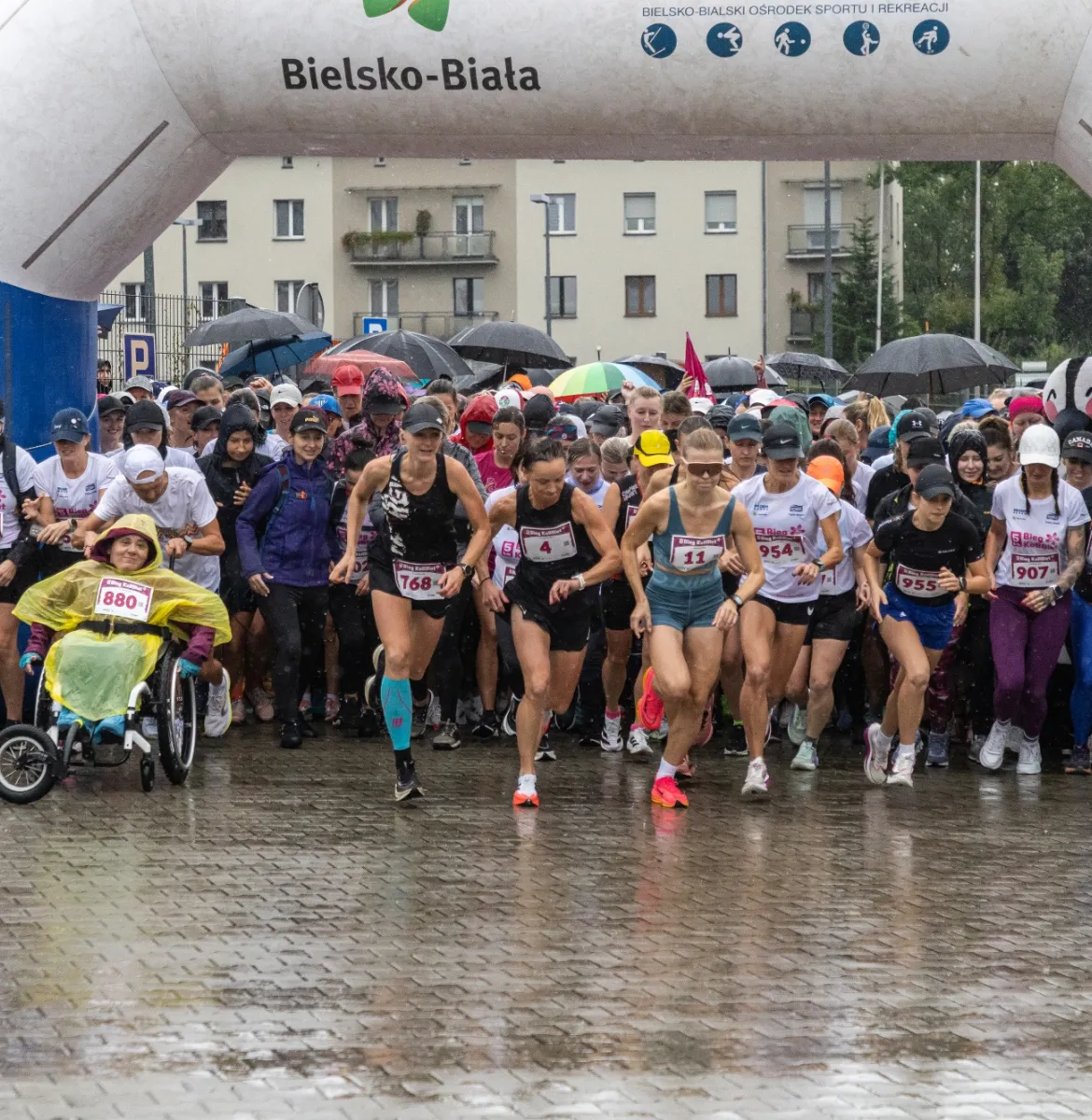 na zdjęciu kobiety na starcie biegu