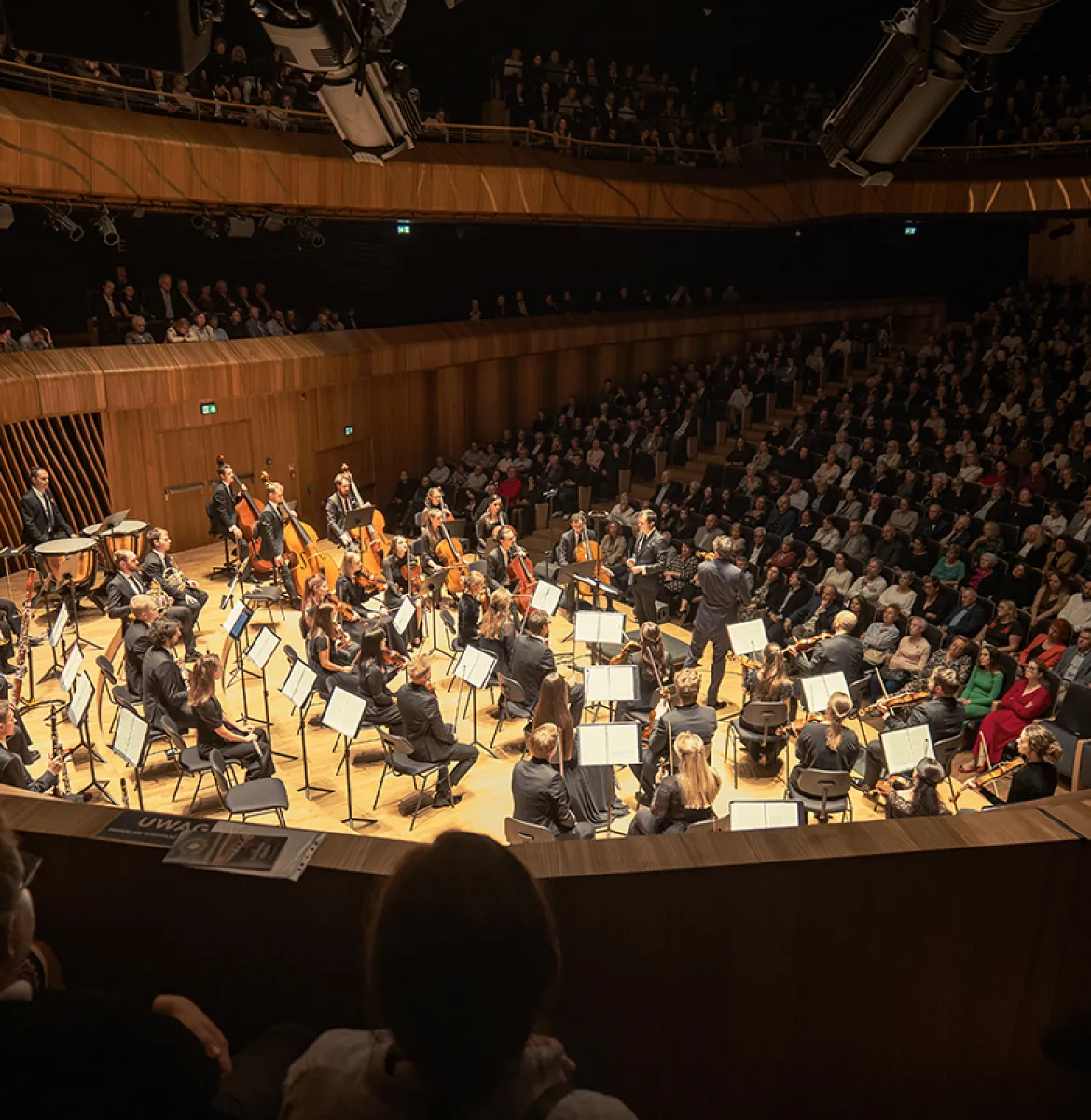 Na zdjęciu Cavatina Philharmonic Orchestra