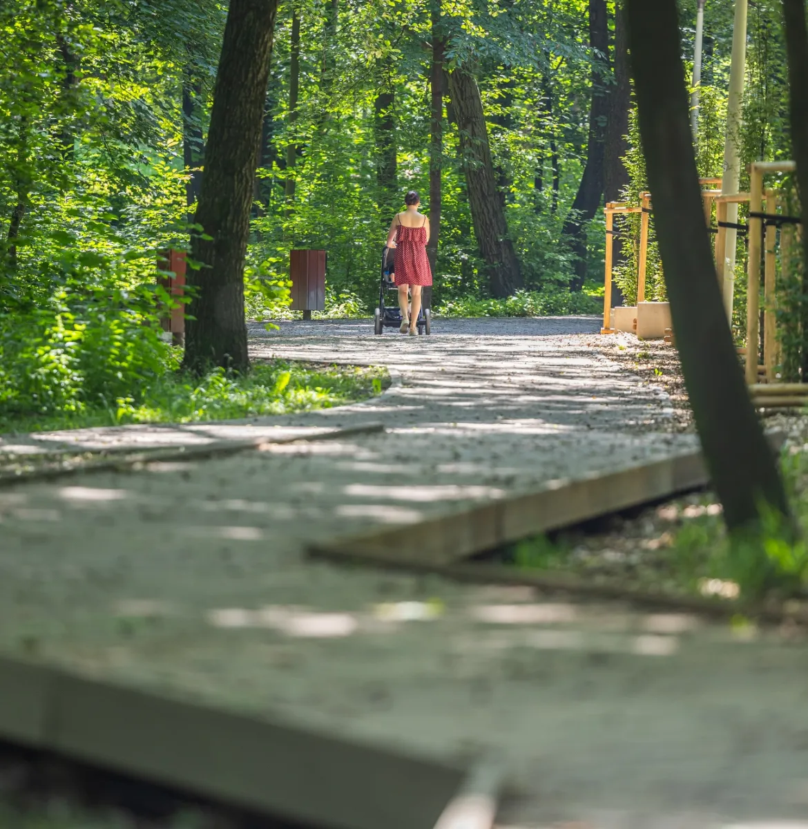 na zdjęciu park