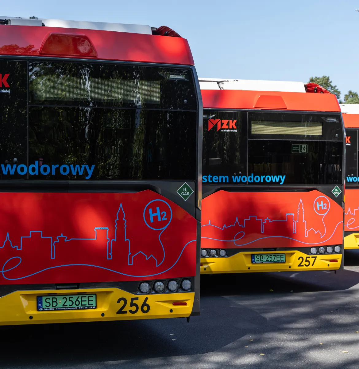 na zdjęciu autobusy 