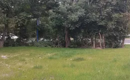 Zdjęcie działki niezabudowanej przy ul. Lipnickiej