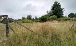 Zdjęcie działki