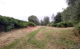 Zdjęcie działki