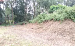 Zdjęcie działki