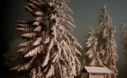 Wyróżnienie Starosty Powiatu Bielskiego Beskidy w kadrze 2025 - Jadwiga Laszczak Pewnego zimowego wieczoru
