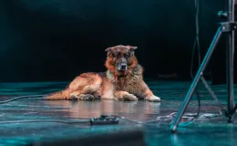 na zdjęciu osoby na scenie