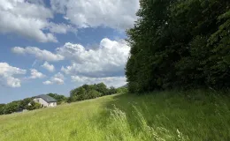 Zdjęcie nieruchomości