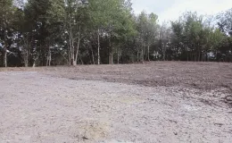 Zdjęcie nieruchomości