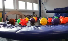 Regionalne Centrum Wspierania Pieczy Zastępczej otwarcie w BB