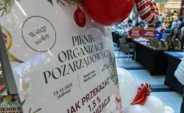 na zdjęciu osoby podczas pikniku