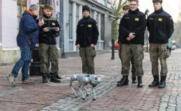 na zdjęciu osoby podczas akcji