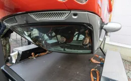 na zdjęciu osoby podczas akcji