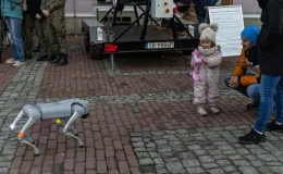 na zdjęciu osoby podczas akcji