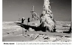 Był rok 1951 - wystawa 