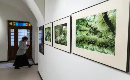 na zdjęciu wnętrze galerii z fotografiami na ścianach