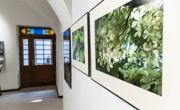 na zdjęciu wnętrze galerii z fotografiami na ścianach